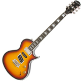 Bon plan Epiphone un kit d'accessoires gratuit