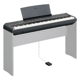 Scotto Musique : vente en ligne d'instruments de musique