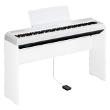Scotto Musique : vente en ligne d'instruments de musique
