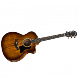 TAYLOR 224ce-K DLX