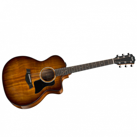 TAYLOR 224ce-K DLX