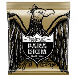 ERNIE BALL 2086 - PARADIGM 80/20 MEDIUM LIGHT BRONZE 12-54