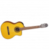 TAKAMINE GC1CE-NAT