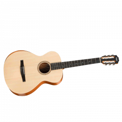 TAYLOR ACADEMY 12e-N