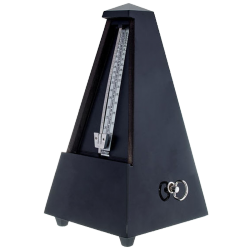 WITTNER MAELZEL BOIS NOIR SATINE 806M