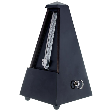 WITTNER MAELZEL BOIS NOIR SATINE 806M