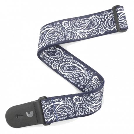 PLANET WAVES P20W1419