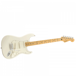 Fender - Guitare Electrique Player Stratocaster MN PWT - 0144502515