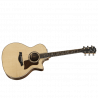 TAYLOR 814ce V-CLASS