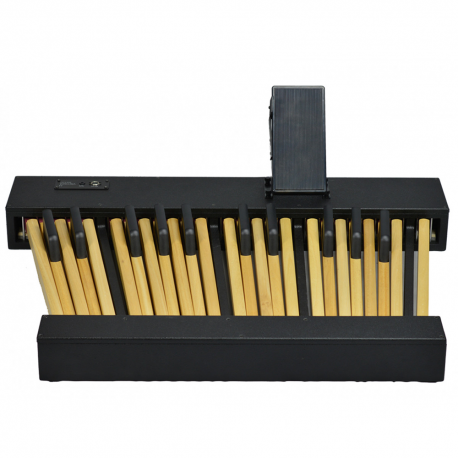 VISCOUNT LEGEND PEDALBOARD 25