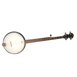 GOLD TONE AC-1