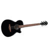 IBANEZ AEG50-BK