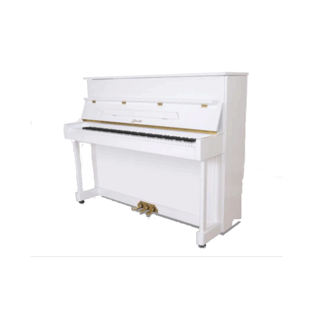 RITTMULLER UP 118 R2 SYSTEME SILENCIEUX