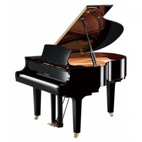 YAMAHA C1X - TRANSACOUSTIQUE