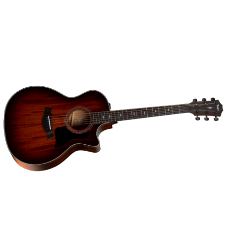 TAYLOR 324CE BUILDER'S EDITION