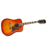 EPIPHONE HUMMINGBIRD 12 - ACS