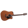 TAKAMINE GD11MCE-NS