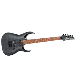 Ibanez - Guitare Electrique RGA42FM Transparent Gray - RGA42FMTGF