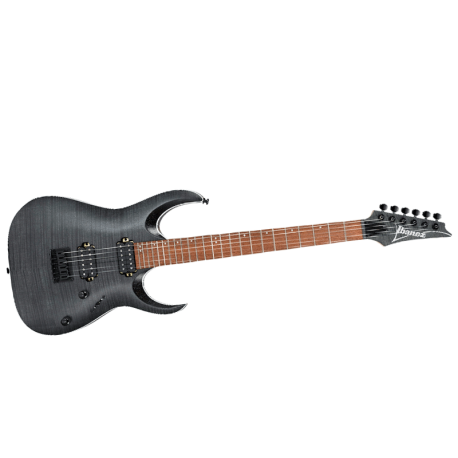 IBANEZ RGA42FM - DEF