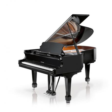 W.HOFFMANN P 206 (Professional) - Noir Brillant