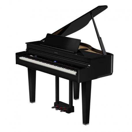Roland GP-6