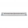 Yamaha - Piaggero NP35