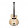 APC - Guitare Jazz Manouche JMD 200