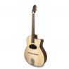 APC - Guitare Jazz Manouche JMD 200