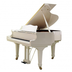 W.HOFFMANN - V 175 (Vision) - Blanc Brillant