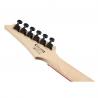 Ibanez - Guitare Electrique GRG131 DXBKF