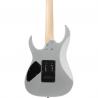Ibanez - Guitare Electrique GRG170 DXSV