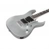 Ibanez - Guitare Electrique GRG170 DXSV