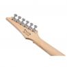 Ibanez - Guitare Electrique GRG170 DXSV