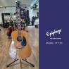 Epiphone - Guitare Acoustique FT-150