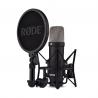 Rode - Microphone de studio à condensateur NT1 Signature Series