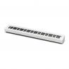 CASIO CDP-S110