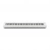 CASIO CDP-S110