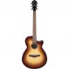 Ibanez- Guitare ElectroAcoustique AEG50 Dark Honey burst brillante