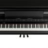 Roland - Piano Droit Numérique LX-9 ébène poli - LX-9-PE