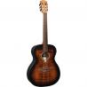 Lag - Guitare Electro-acoustique Nylon Auditorium Black & Brown - GLA TN70A-B&B