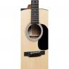 Martin - Guitare Electro Acoustique D12E - GMA D-12E