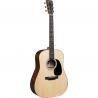 Martin - Guitare Electro Acoustique D12E - GMA D-12E
