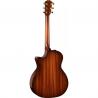 Taylor - Guitare Electro Acoustique 314Ce LTD 50e Anniversaire