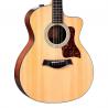 Taylor - Guitare Electro-acoustique 214ce Plus