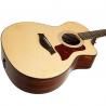 Taylor - Guitare Electro-acoustique 214ce Plus