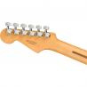 Fender - Guitare Electrique Player Plus Stratocaster HSS, Pau Ferro Fingerboard, Silverburst