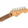 Fender - Guitare Electrique Player Plus Stratocaster HSS, Pau Ferro Fingerboard, Silverburst