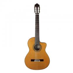 Esteve - Guitare Electro Acoustique 4STCE Fishman Pan coupé