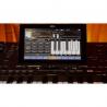 Korg - Clavier Arrangeur PA5X Oriental 61 touches