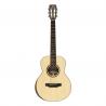Crafter - Guitare Folk Electro MINO BK WLN